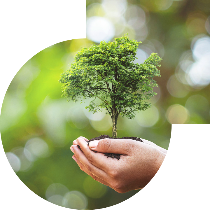 關懷人類、文化、環境與社會